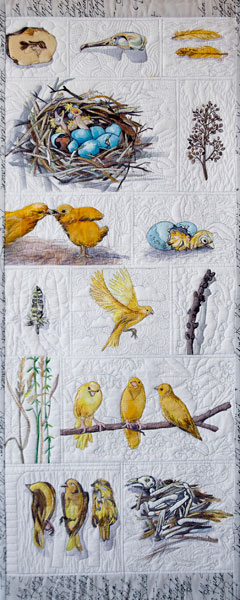 Seasonal Yellowl by Julie Haddrick